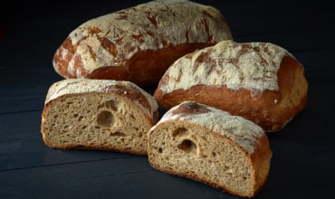 Le Montagnou